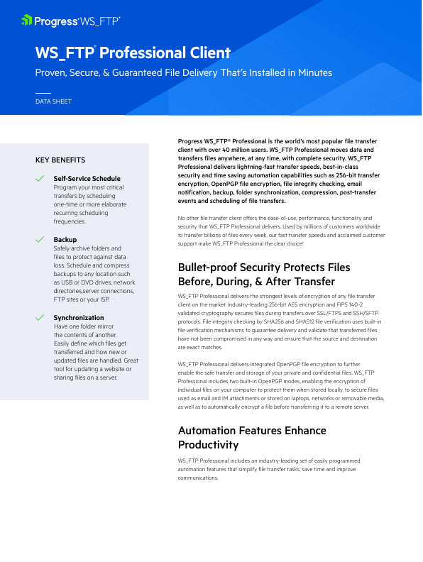 Thumbnail for WS_FTP Professional document